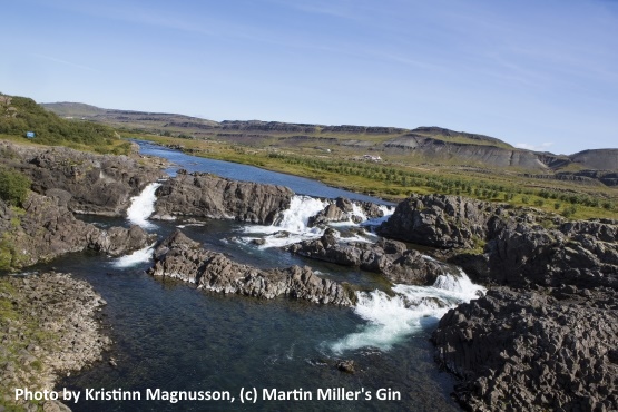 Icelandic Water is the source for Martin Miller's Gin