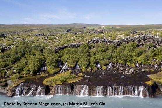 Icelandic Water is the source for Martin Miller's Gin