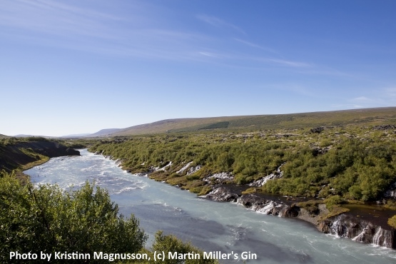 Icelandic Water is the source for Martin Miller's Gin