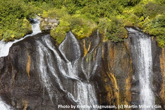 Icelandic Water is the source for Martin Miller's Gin
