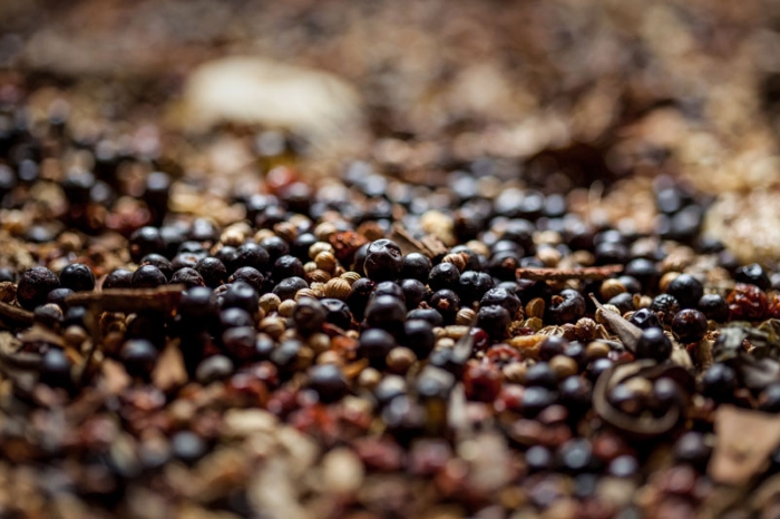 Juniper berries for Caorunn Scottish gin