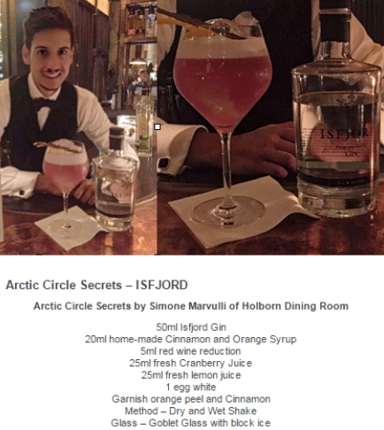 ISFJORD Arctic Gin Review