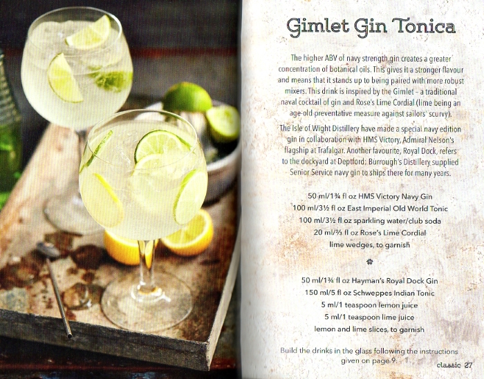 Spanish Gin and Tonic Cocktails sample cocktail