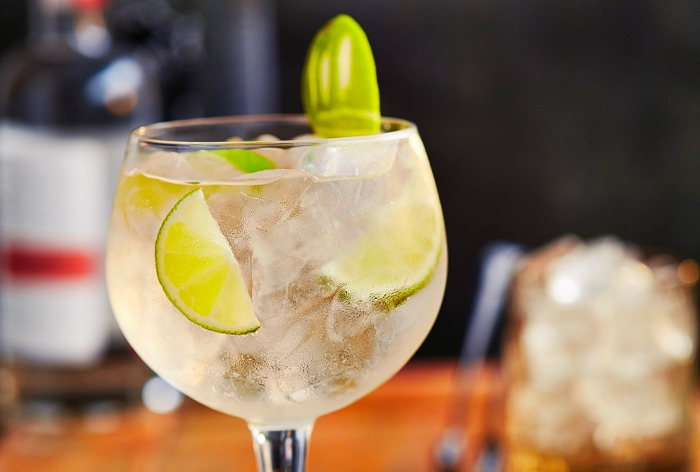 Spanish Gin and Tonic Cocktails sample cocktail