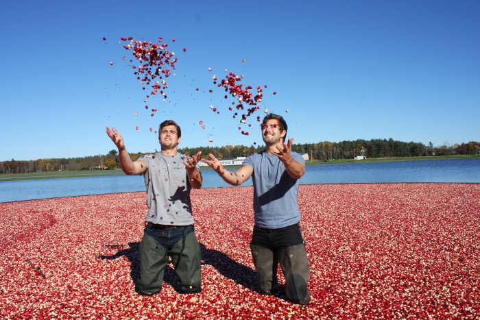 Ben and Dan Ritsema of Cranes of Cambridge