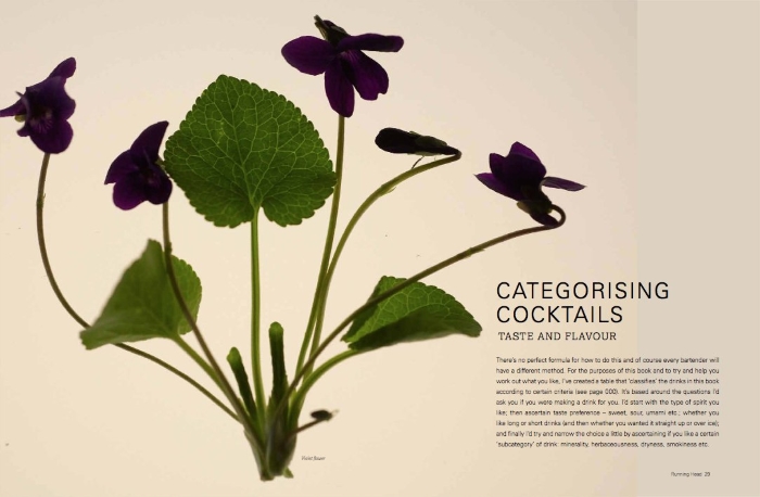 The Modern Cocktail Book Review categorising cocktails spread