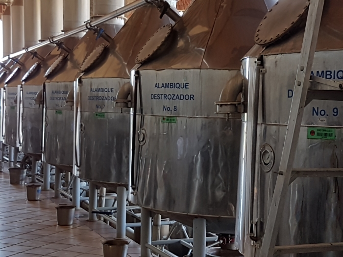 Cazadores Tequila Distillery Tour Travel Distilled