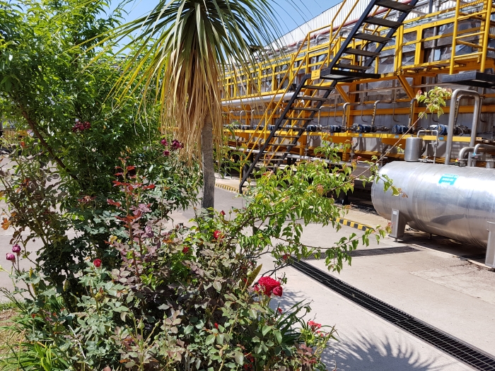 Touring the Cazadores tequila distillery in Jalisco, Mexico