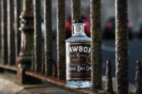 Jawbox-Gin-Bottle-railings