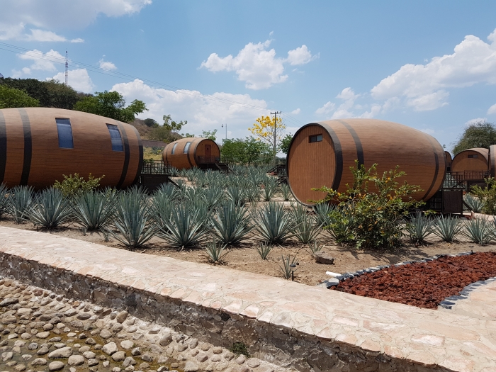 Hotels rooms like tequila barrels on a Casa Nobles tequila distillery tour