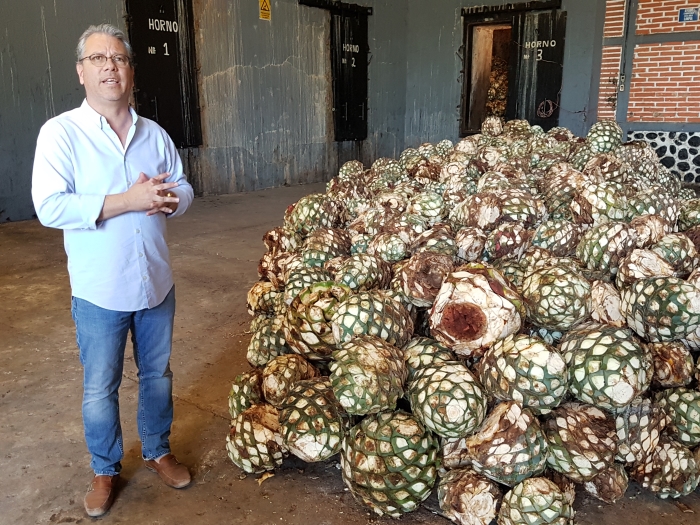 Casa Nobles tequila distillery tour with David Yan