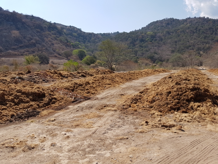 Agave compost on a Casa Nobles tequila distillery tour