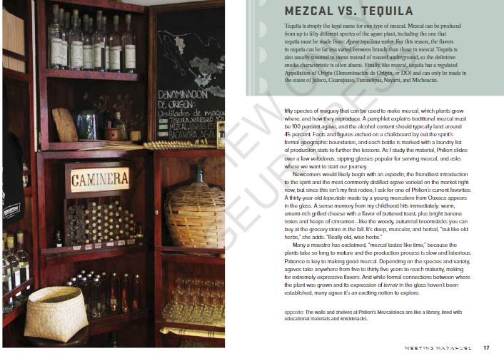 Sample spread from Mezcal by Emma Janzen book review