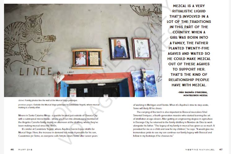 Sample spread from Mezcal by Emma Janzen book review