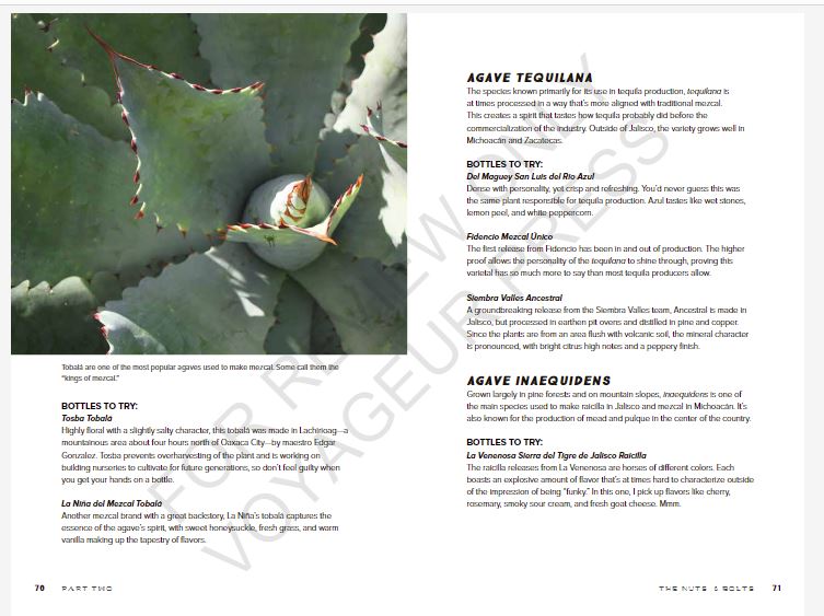 Sample spread from Mezcal by Emma Janzen book review