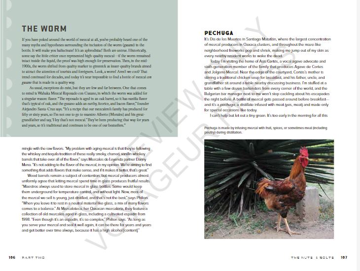 Sample spread from Mezcal by Emma Janzen book review