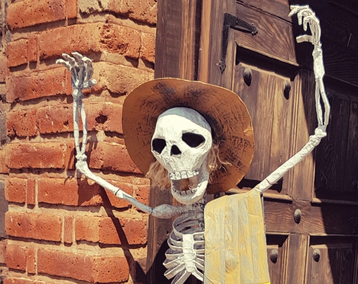 Espolon Tequila Distillery Tour