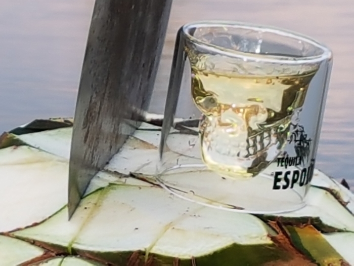 Espolon Tequila Distillery Tour Travel Distilled