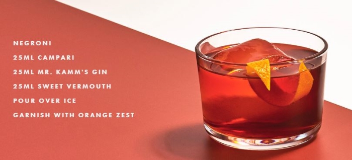 Gin cocktail recipe using Mr Kamm's Gin being reviewed by Travel Distilled