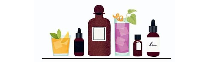 Illustration from the book Botany at the Bar
