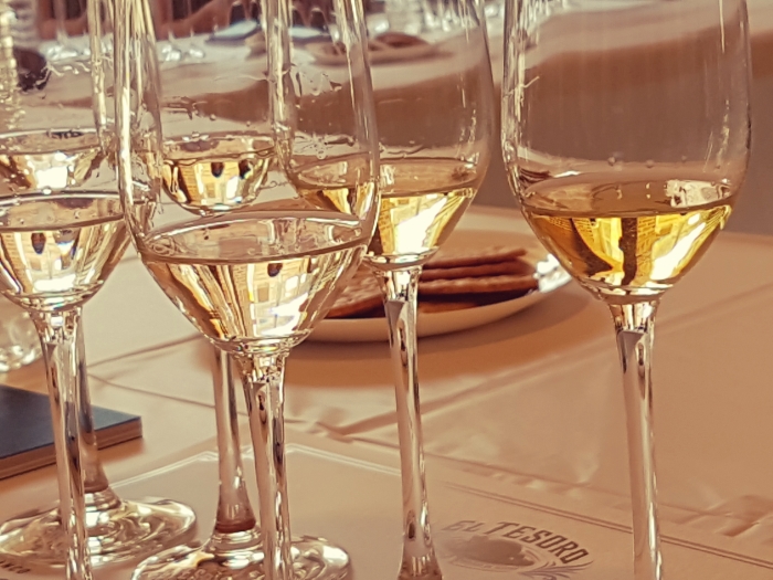 El Tesoro Tequilas Ready for Tasting