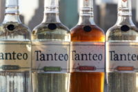 Tanteo Spicy Tequilas