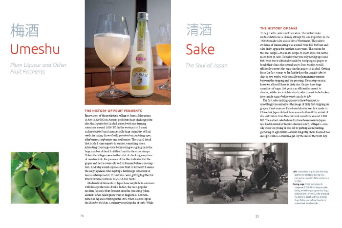 The Complete Guide to Japanese Drinks