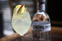 Caorunn Golden Spritz Gin Cocktail