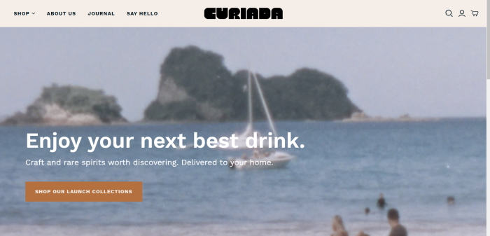 Curiada Website Home Page