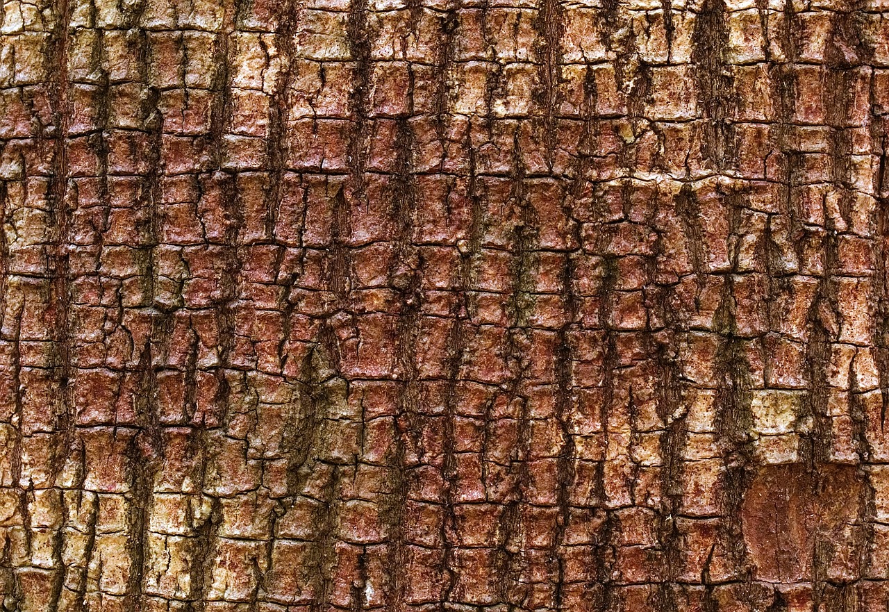 Mastic Tree Bark