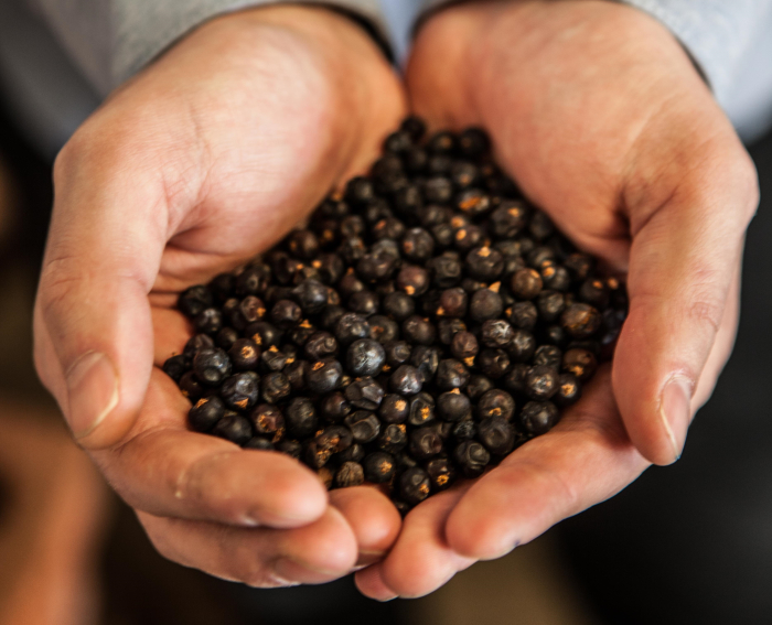 Junipers for Tarquin's Blood Orange Gin from Cornwall