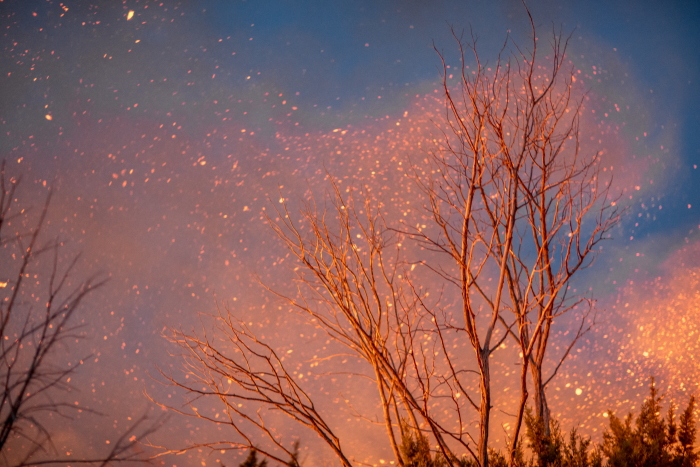 A prescribed fire in Texas