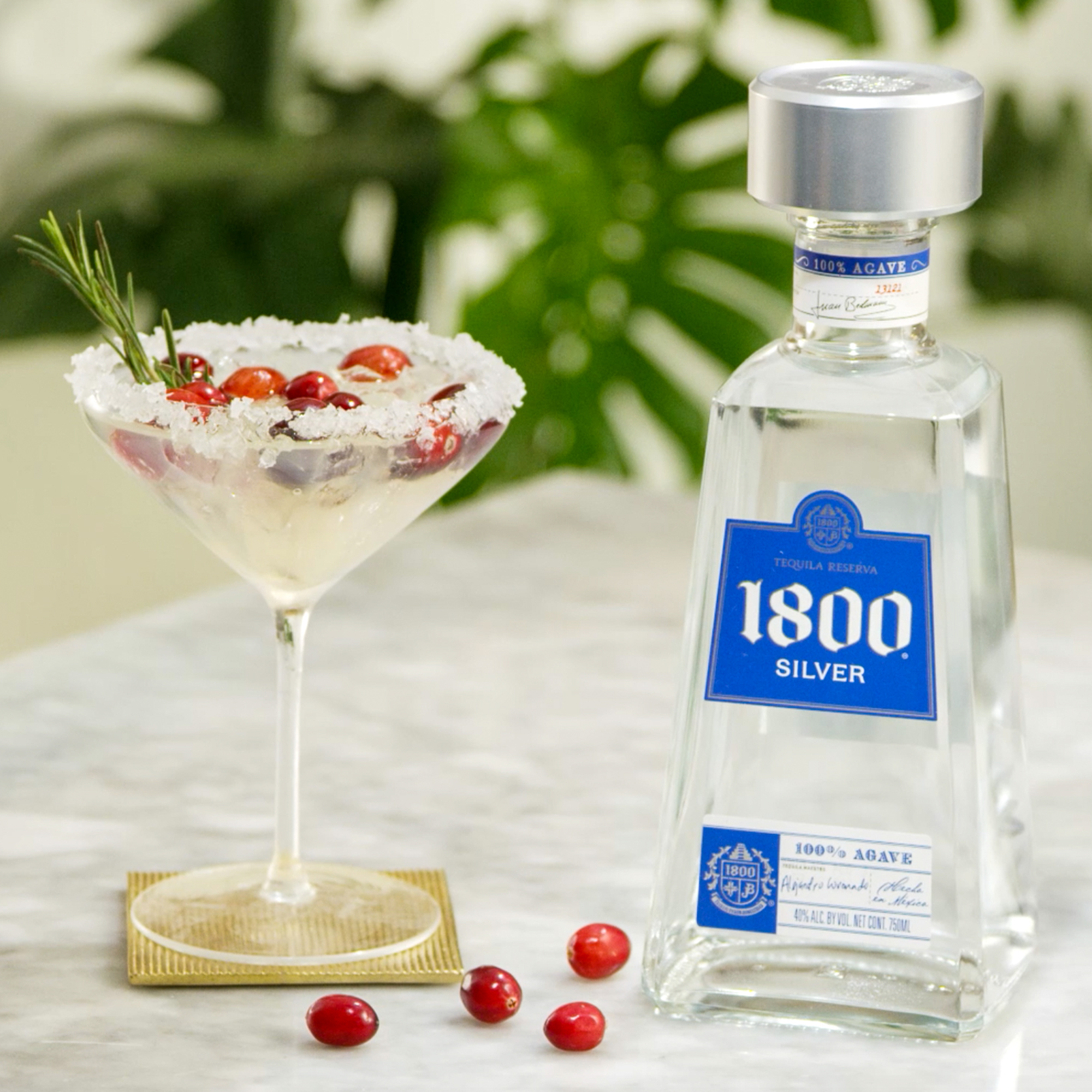 1800 Cranberry Margarita Travel Distilled