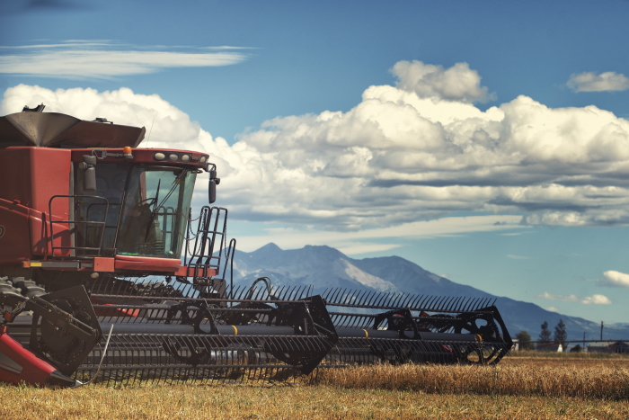 Laws Whiskey House Grain Harvesting