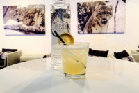 Snow Leopard Snowcone Vodka Cocktail