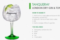Tanqueray London Dry Gin and Tonic cocktail recipe