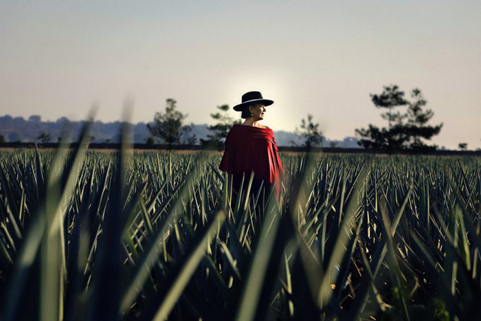 Ana Maria Romero Maestra Tequilera Mijenta Tequila