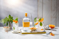 Hayman's Exotic Citrus Gin and Tonics