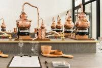 Brass Lion Distillery Singapore Gin Stills Gin Classes