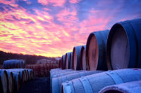 Lindores Abbey Distillery casks at sunset