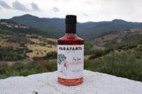 a Bottle of Parafante RTD Fig Leaf Negroni