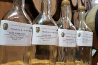 Tequilas for Tasting at the Patron Distillery in Mexico