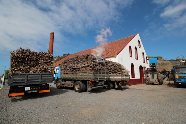 Madeiran Rum Distillery