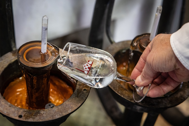 Tasting a Medeiran Rum