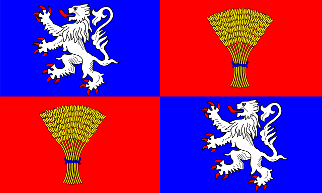 The Flag of Gascony in France