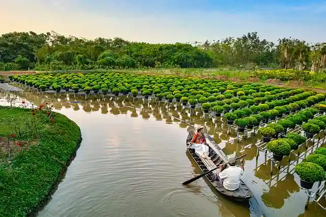 Vietnamese landscape