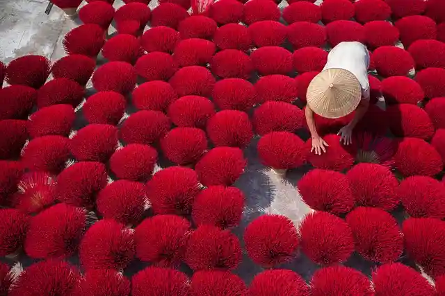 Drying incense sticks in Vietnam