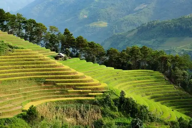Vietnamese landscape