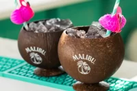 Malibu Rum Cocktails
