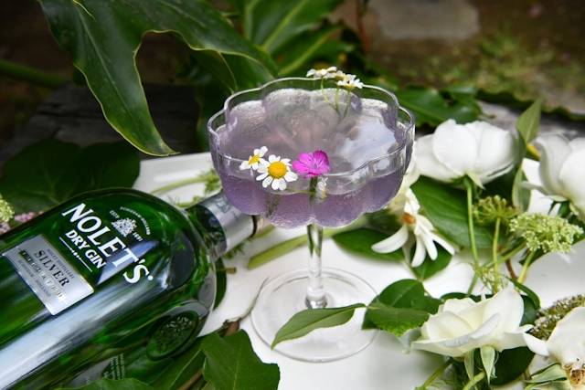 Nolet's Gin Cocktail